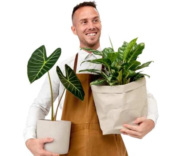 Изображение роли